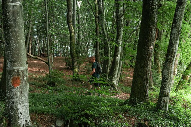 Sentier Combe à la Biche - Kenny Cérou