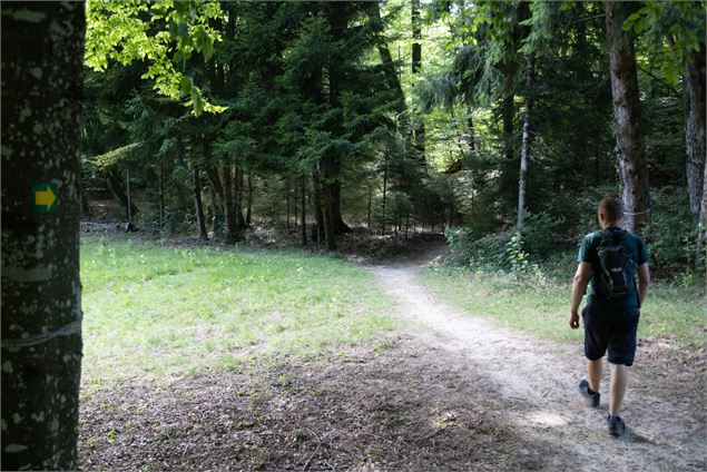 Sentier Combe à la Biche - Kenny Cérou