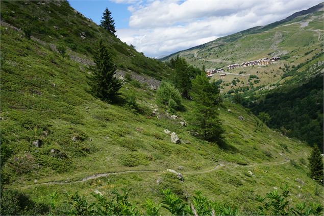 sentier des papillons