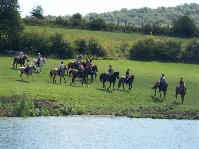 Espace Cheval - Espace Cheval