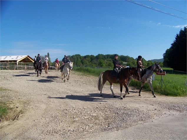 Espace Cheval - Espace Cheval