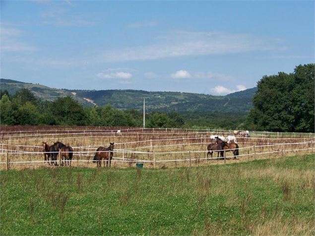 Espace Cheval - Espace Cheval