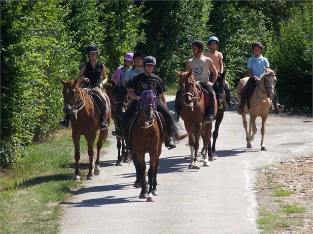 Espace Cheval - Espace Cheval