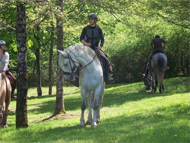 Espace Cheval - Espace Cheval