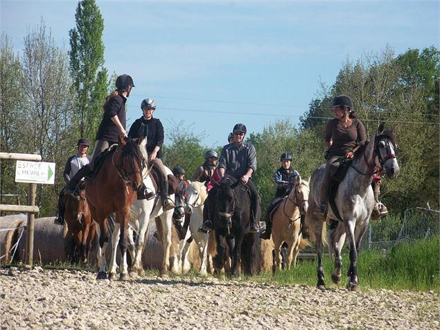 Espace Cheval - Espace Cheval