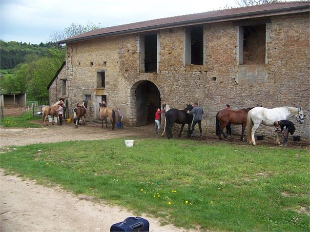 Espace Cheval - Espace Cheval