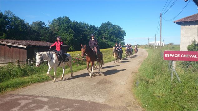 Espace Cheval - Espace Cheval