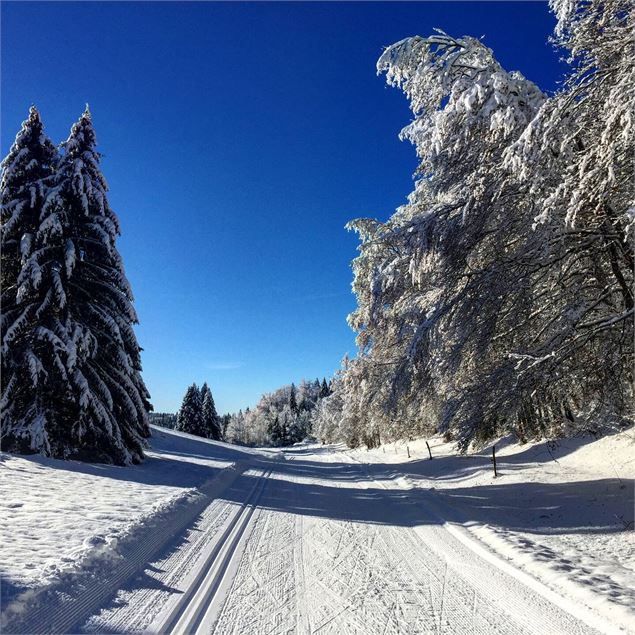 Pistes de ski de fond du Plateau de Retord - Office de Tourisme Bugey Sud Grand Colombier