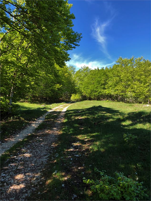 Chemins de randonnée sur le Plateau de Retord - Office de Tourisme Bugey Sud Grand Colombier