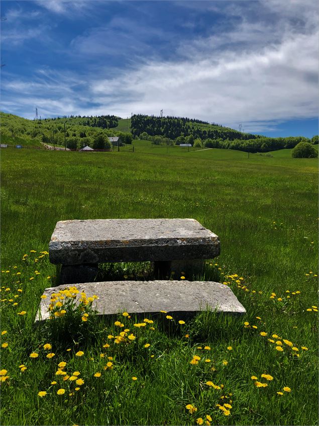 Les Plans d'Hotonnes au printemps - Office de Tourisme Bugey Sud Grand Colombier