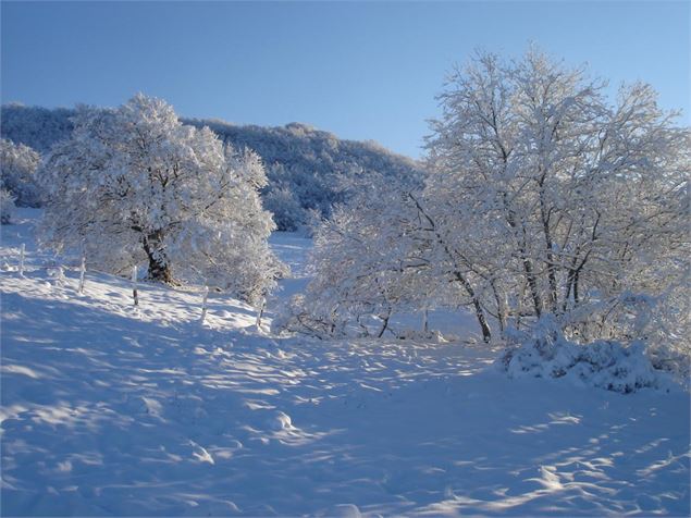 Immensité des paysages en Valromey-Retord - Office de Tourisme Bugey Sud Grand Colombier