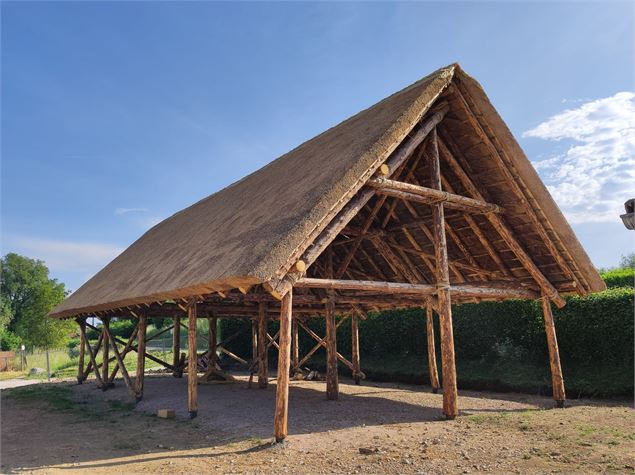 Musée de Préhistoire et Géologie Jean Hallemans - Musée de Préhistoire et Géologie