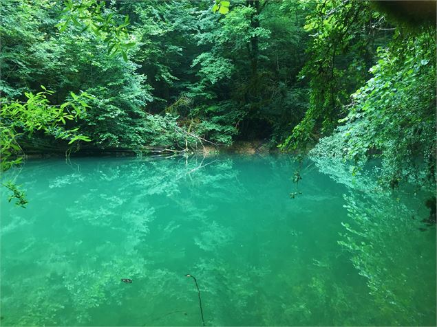 La source du Groin - Belley Bugey Sud Tourisme