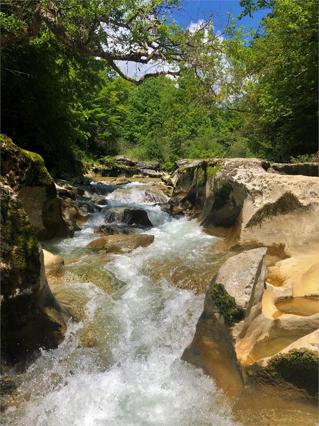 Les gorges deThurignin - Belley Bugey Sud Tourisme