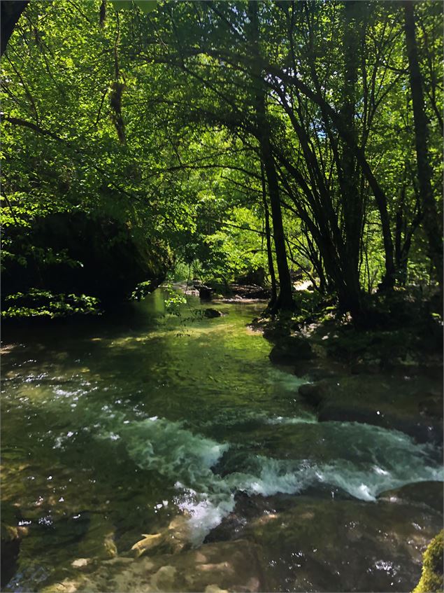 Les gorges deThurignin - Belley Bugey Sud Tourisme