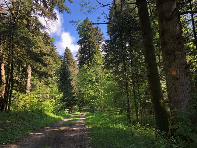 Chemin des étoiles à Sutrieu - Belley Bugey Sud Tourisme