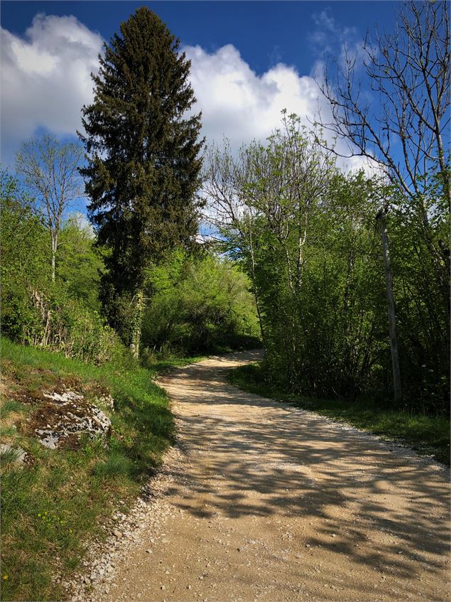 Chemin des étoiles à Sutrieu - Belley Bugey Sud Tourisme