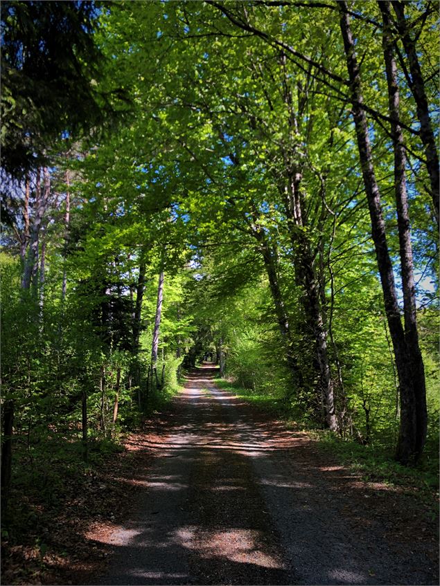 Chemin des étoiles à Sutrieu - Belley Bugey Sud Tourisme