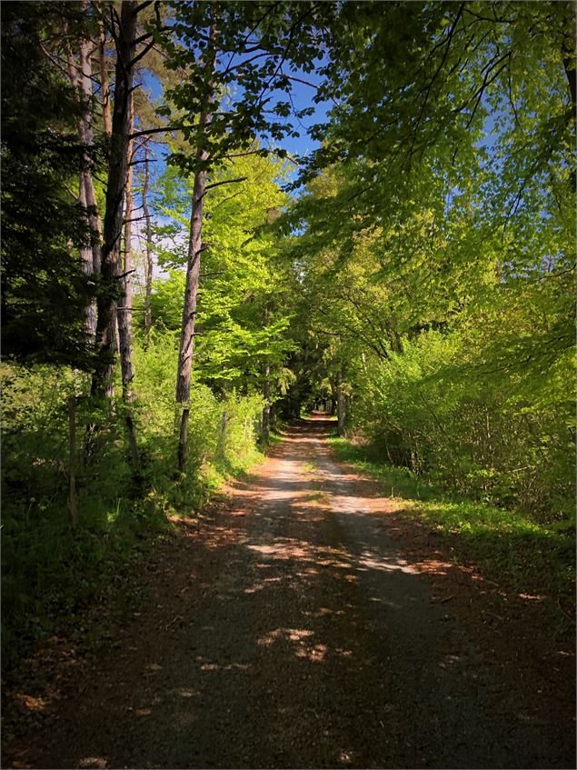 Chemin des étoiles à Sutrieu - Belley Bugey Sud Tourisme