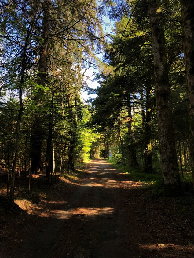 Chemin des étoiles à Sutrieu - Belley Bugey Sud Tourisme