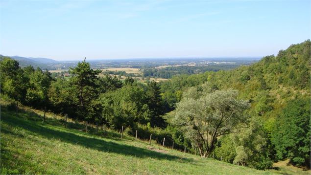 Mont Châtel