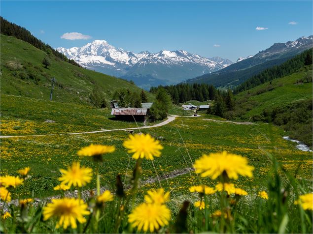 La Vallée des Bauches - OTMLC