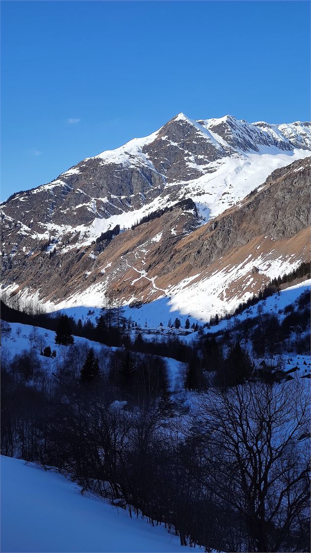 Vue sur Le Bois - Karine Renaud