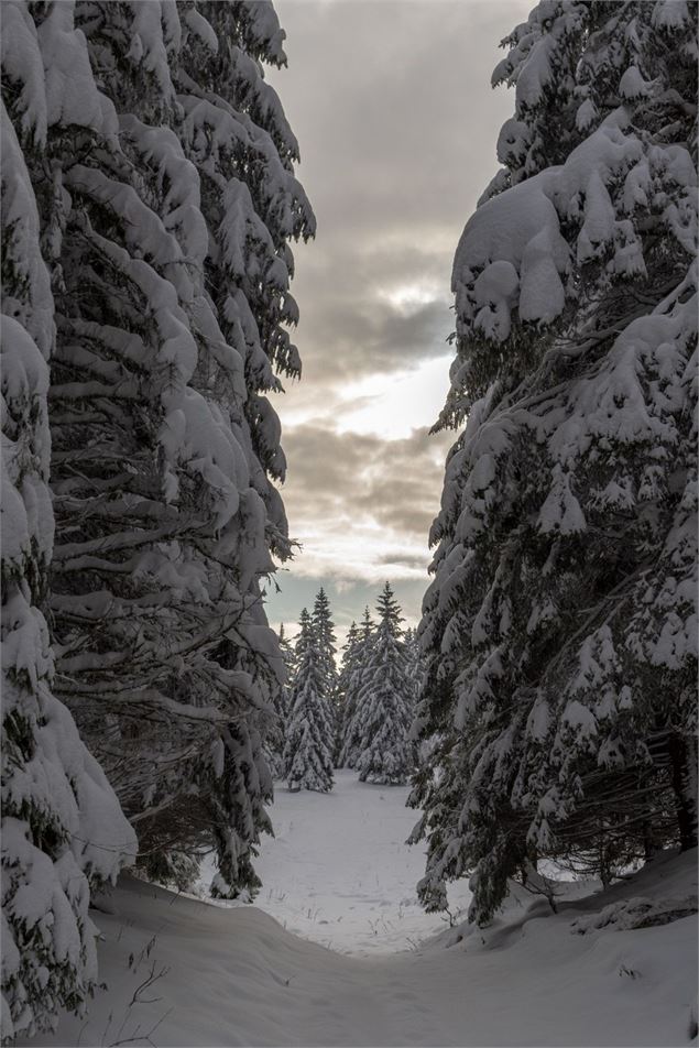 Belvédère du Turet - ©Nicodème Peillon/ Pays de Gex Agglo