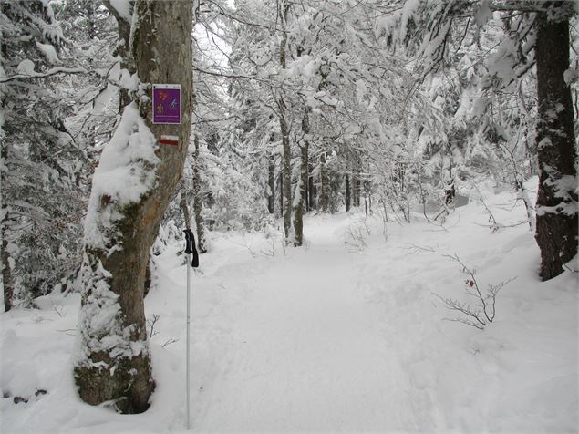 Le chemin avec le balisage - ©Nicodème Peillon/ Pays de Gex Agglo