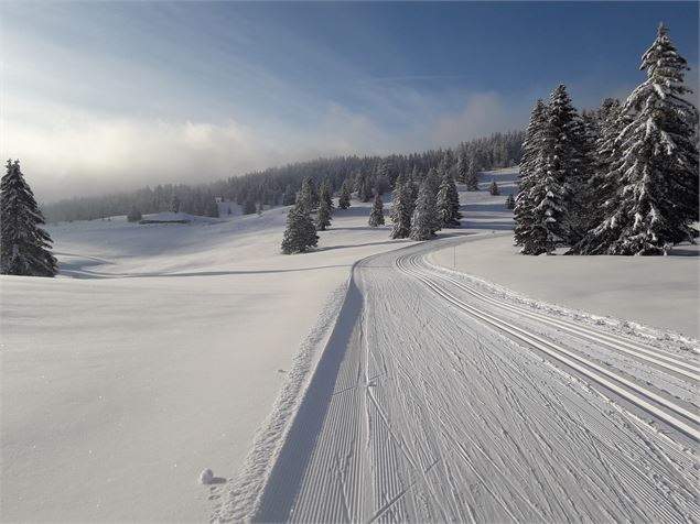 Belle piste - OTpaysdegex