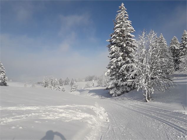 Belle piste - OTpaysdegex