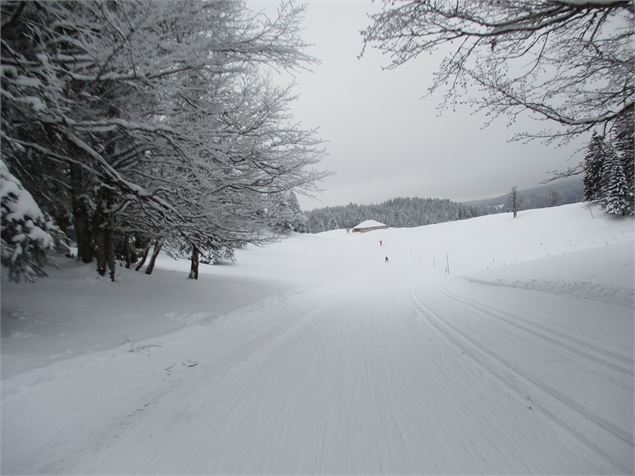 belle piste - ©AMbarbe