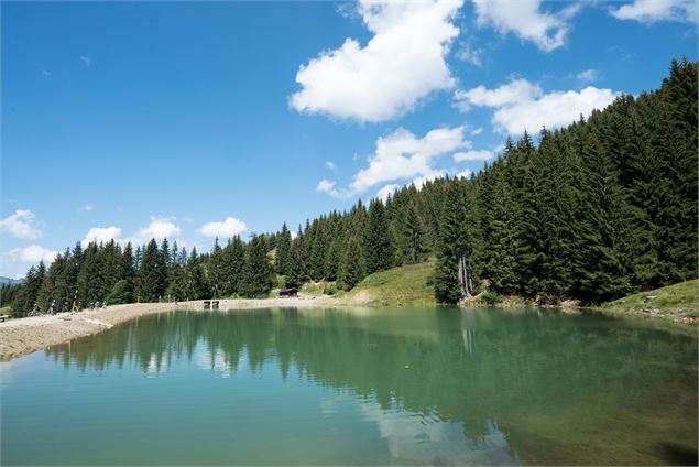 Lac avec vue sur les sapins - Valentin Ducrettet