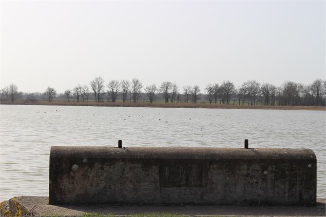 Thou de l'Etang du Grand Birieux - S. Thomasson