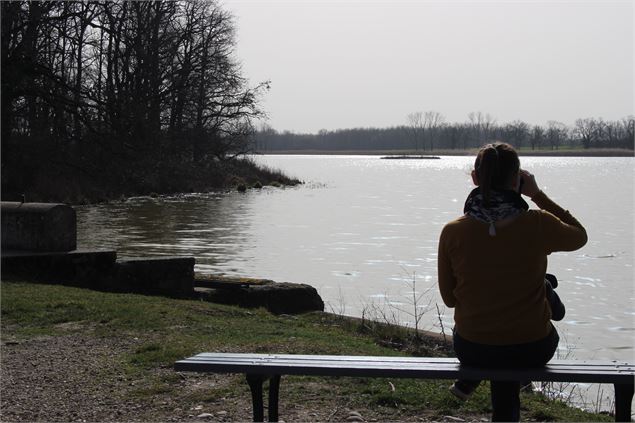 Observation au bord de l'Etang du Grand Birieux - S. Thomasson