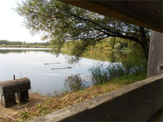 Vue depuis l'observatoire de l'Etang Grange Volet - Claire CUR/Dombes Tourisme