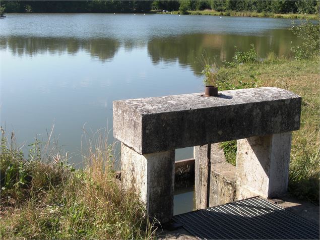 Plan d'eau Etangs des prés Gaudet - Clara Darget Lacoste