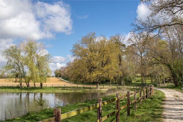 Etang de Dimanche - M Zeilfelder