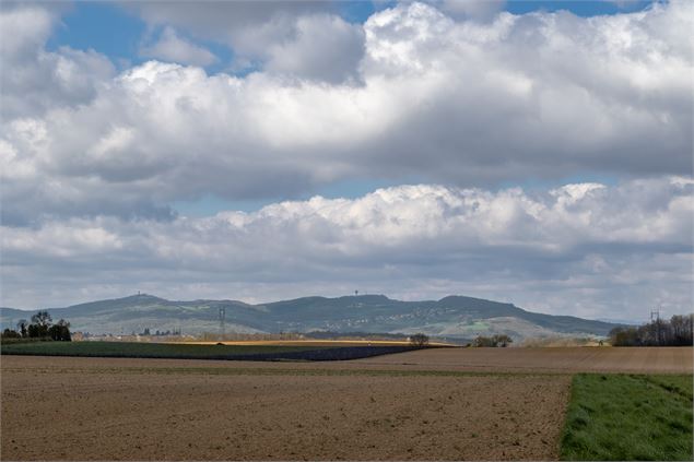 Paysage avec Beaujolais - M Zeilfelder