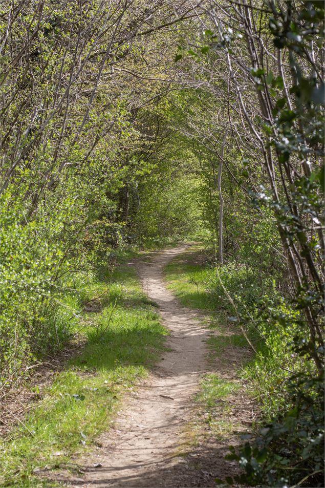 Chemin de terre - M Zeilfelder