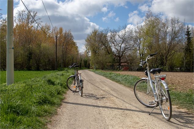 Chemin de campagne - M Zeilfelder