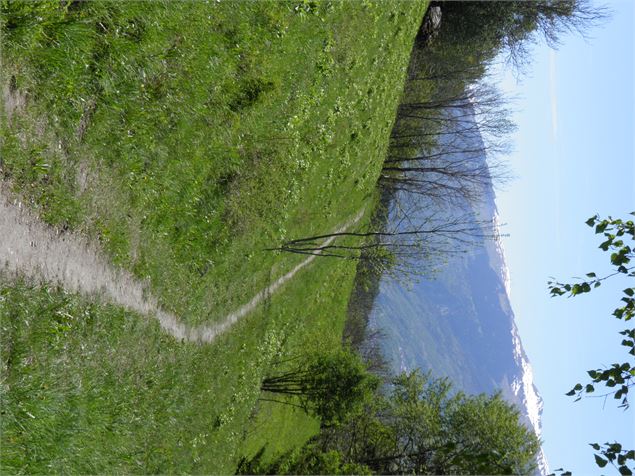 Le chemin de la Pierra - Philippe Royer