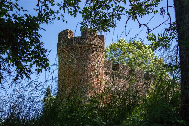 Vue sur les remparts du chateau - M. Zeilfelder/Dombes Tourisme