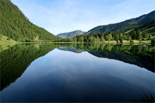 Vue depuis le bout du lac - Patrick Brault