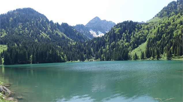 Lac des Plagnes bord du lac - Patrick Brault