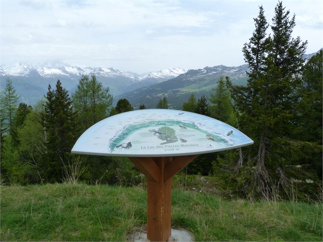 Table panoramique - Jean Gotteland