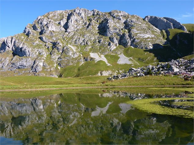 vue sur la Dent d'Oche