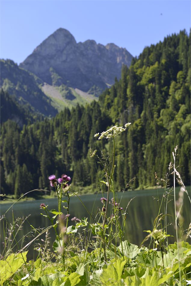 Vue depuis le bord du lac - Patrick Brault