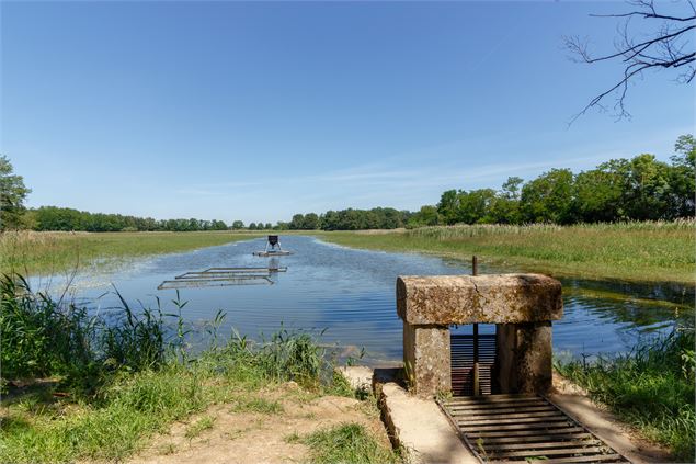 Thou - M. Zeilfelder/Dombes Tourisme