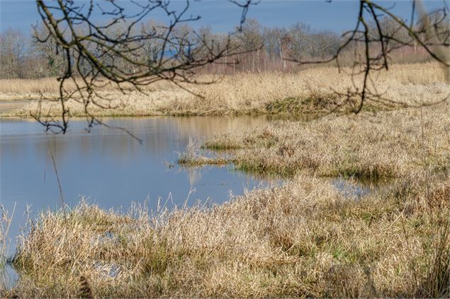 Etang des Chênes - M. Zeilfelder